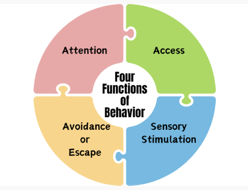 The SEAT functions of behaviour framework